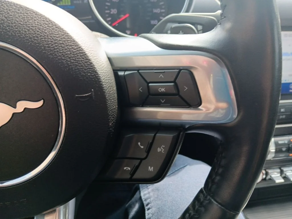 Used 2019 Shadow Black Ford EcoBoost Premium image 25