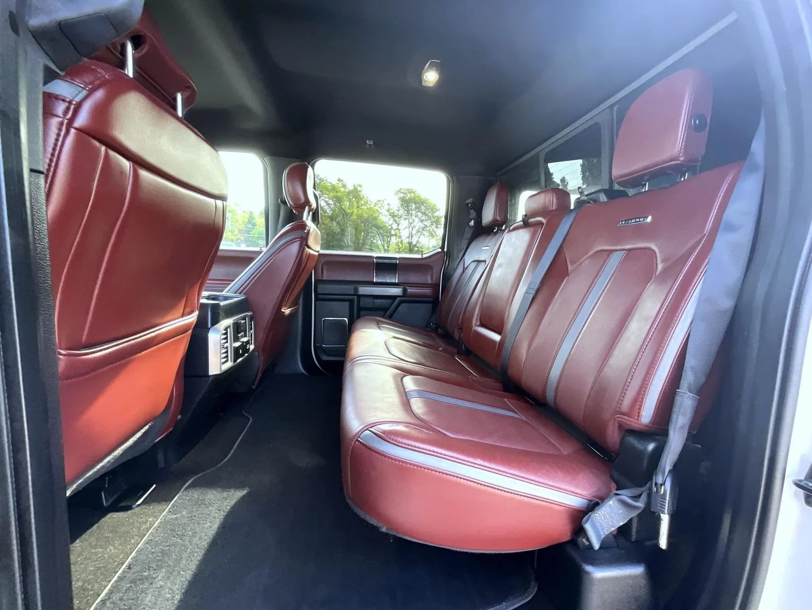 Used 2018 White Ford Platinum image 24