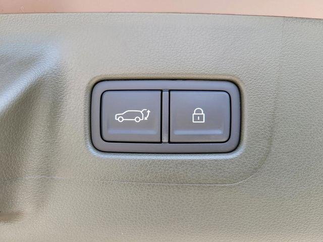 New 2025 Earthy Brass Matte Hyundai Calligraphy image 38
