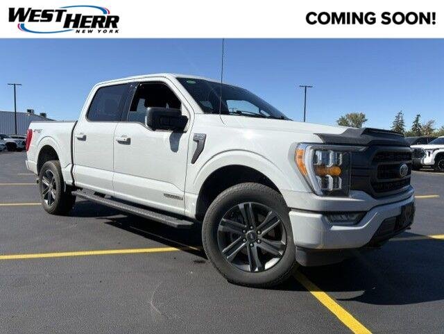 Used 2023 Avalanche Gray Ford XLT image 1