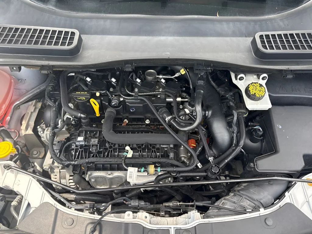 Used 2019 White Ford SEL image 30