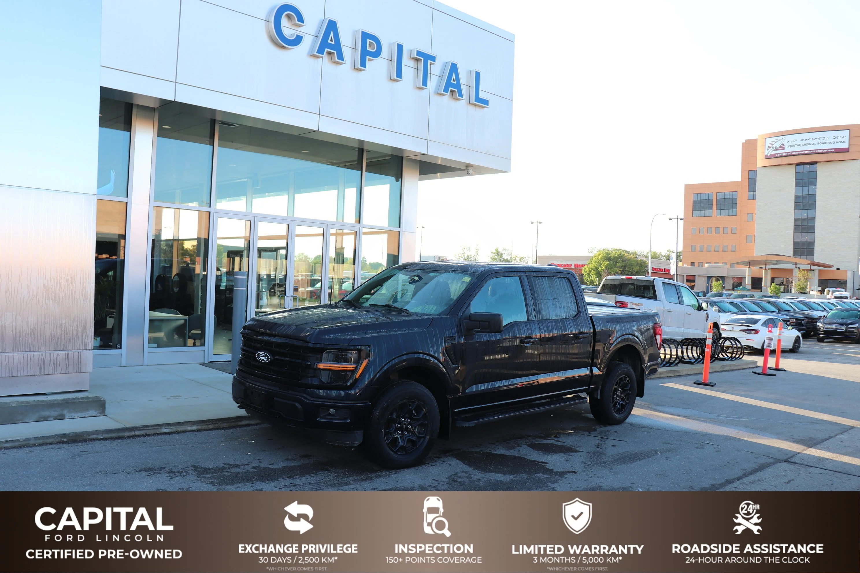 Certified Used 2025 Blue Ford XLT 4WD SuperCrew 5.5
