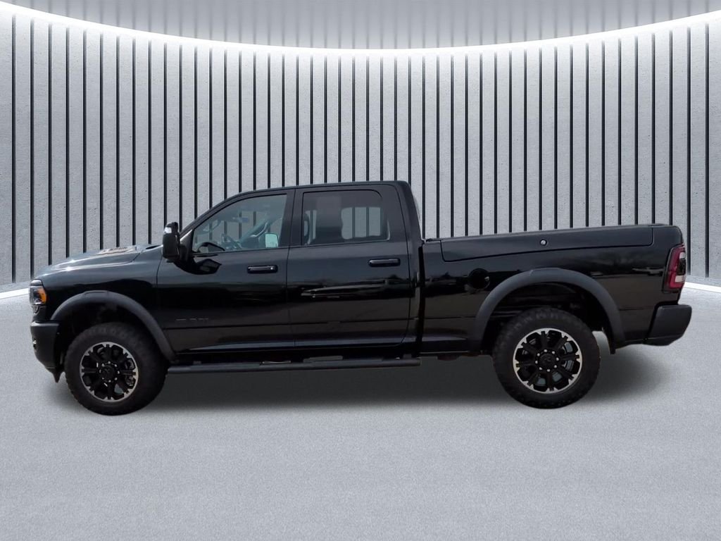 Used 2024 Black Ram Rebel image 15