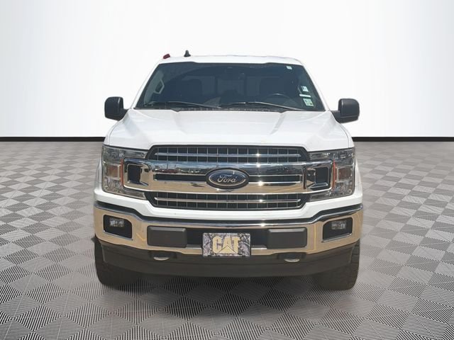 Used 2019 White Ford XLT image 2