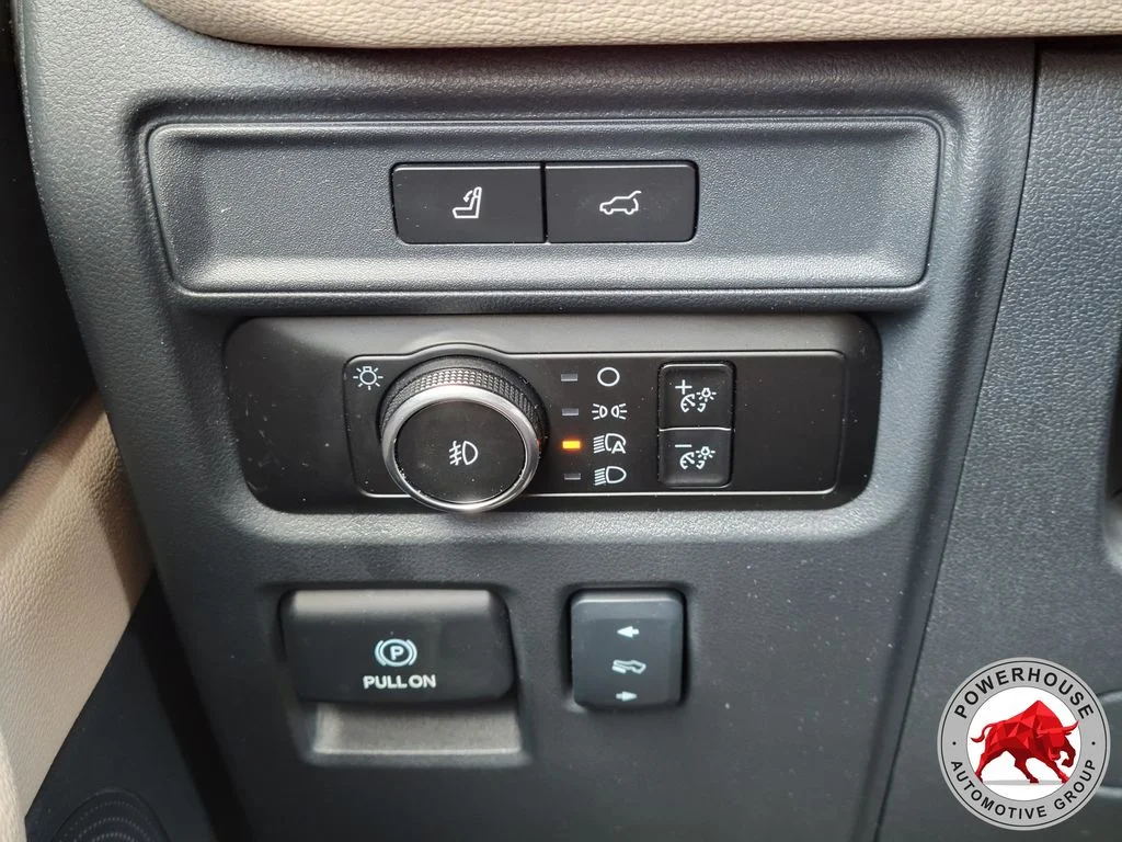 Used 2024 Black Ford Limited image 31