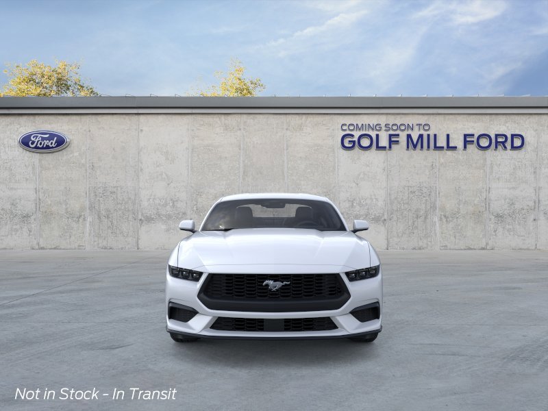 New 2026 Oxford White Ford EcoBoost image 6