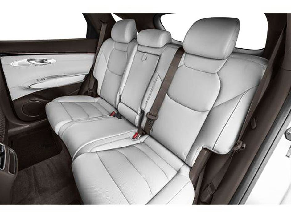New 2026 Vik Black Genesis 2.5T image 10