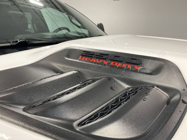 New 2026 Bright White Clear-Coat Exterior Paint RAM Black Express image 29