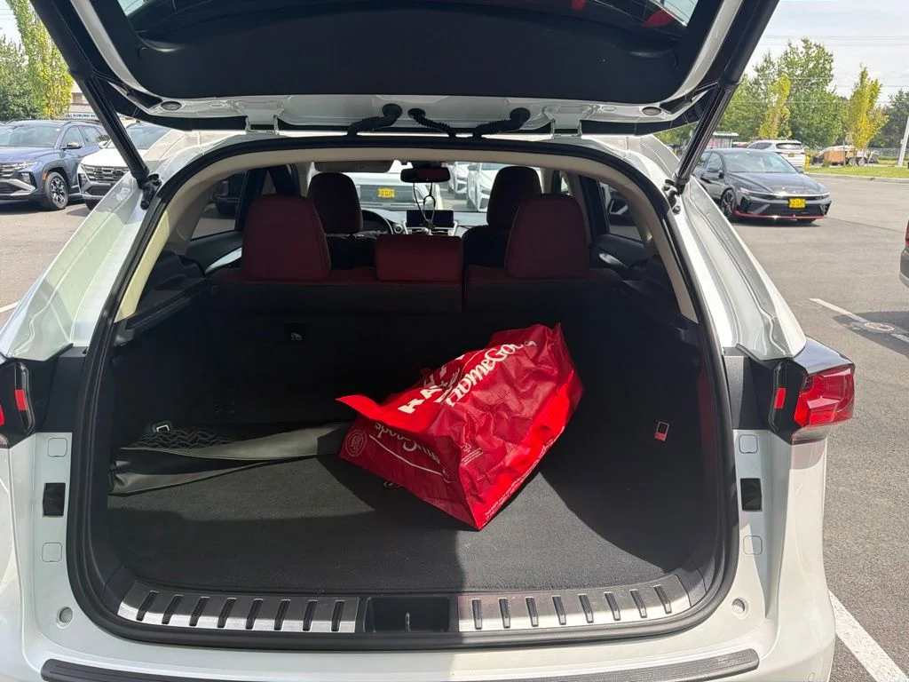 Used 2020 White Lexus 300h image 14