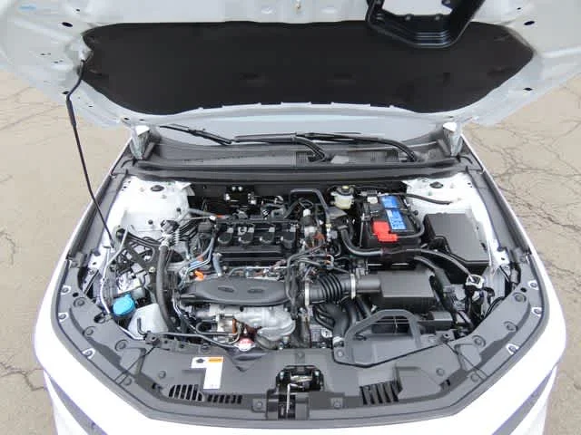 New 2026 Platinum White Pearl Honda SE image 9