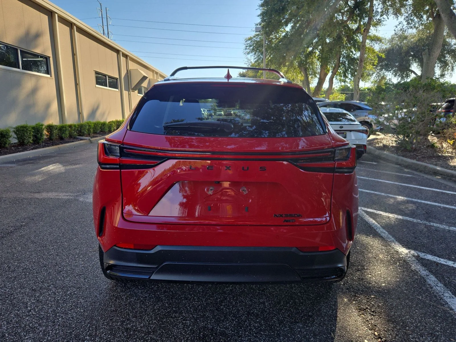 Used 2025 Redline Lexus NX 350h Premium image 6