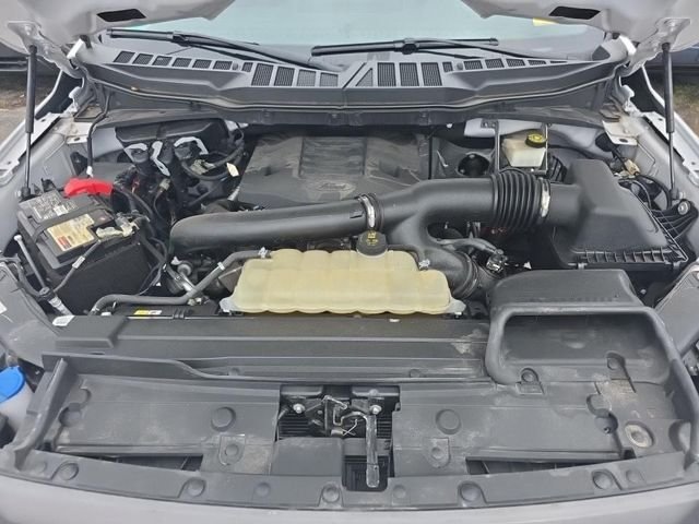 Used 2023 White Ford XLT image 20