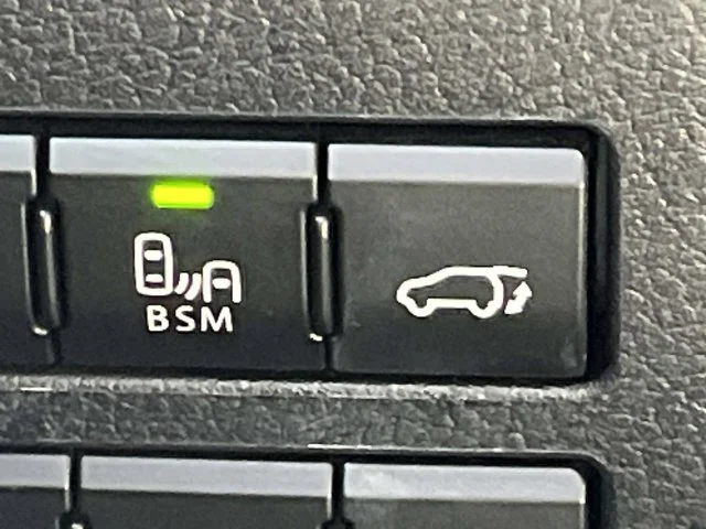 Used 2019 Black Lexus 300 F Sport image 32