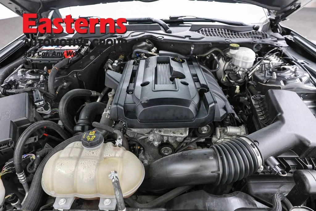 Used 2019 Gray Ford EcoBoost image 7