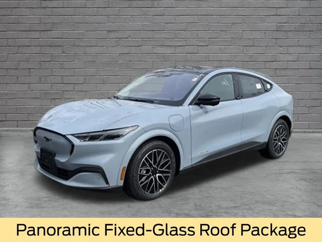 New 2026 Glacier Gray Metallic Tri-coat Ford Premium image 3