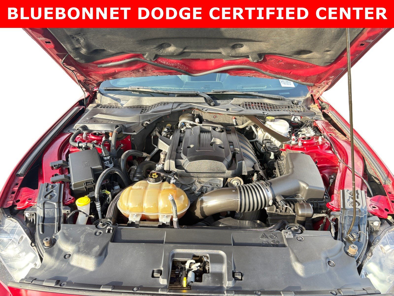 Used 2019 Red Ford I4 image 23