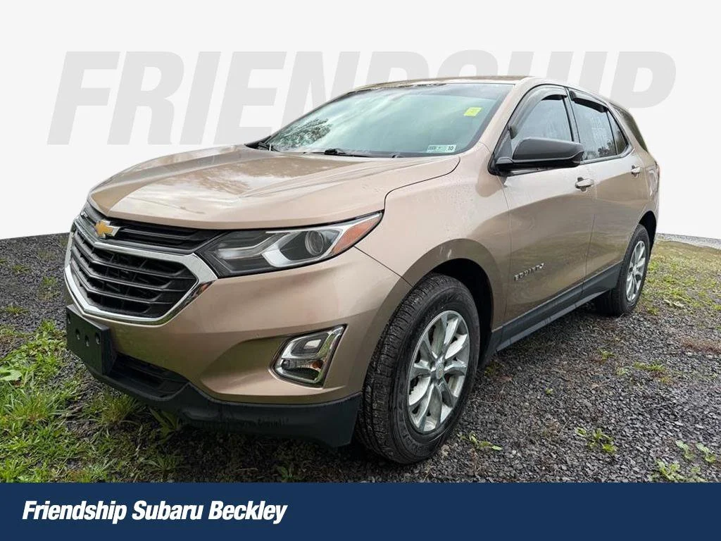 Used 2019 Beige Chevrolet LS image 1