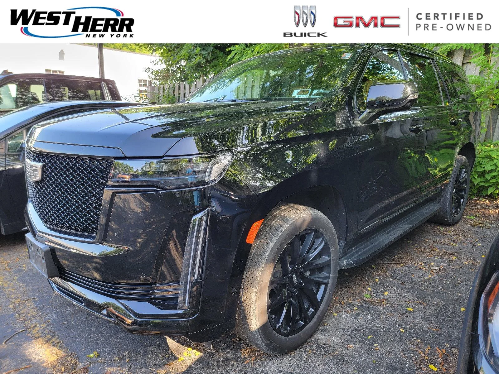 2024 Cadillac Escalade 4WD Sport's photo