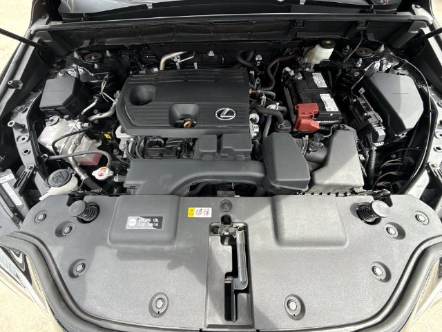 2024 Lexus NX 250 - Photo 27