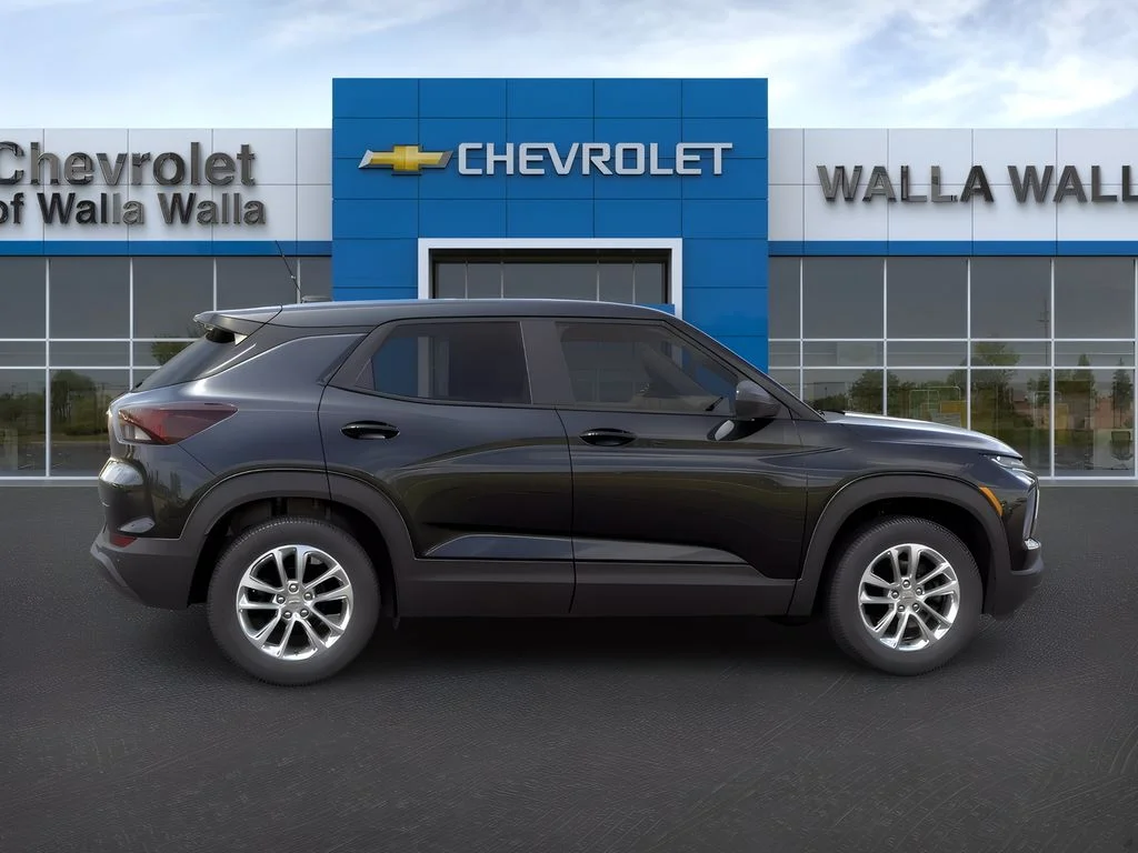 New 2026 Mosaic Black Metallic Chevrolet LS image 5