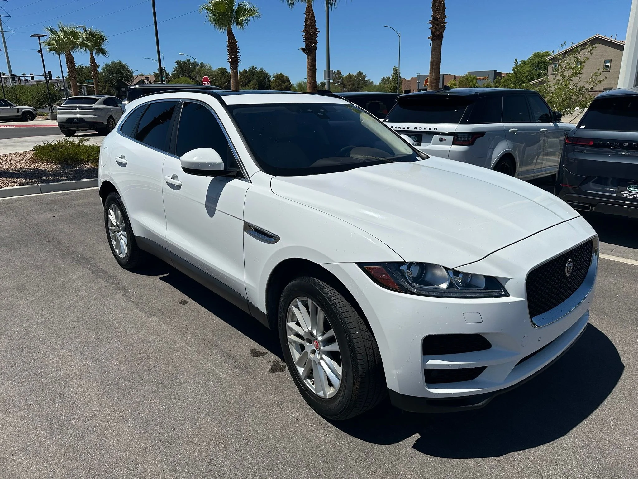 Used 2019 Fuji White Jaguar 25t Prestige image 11