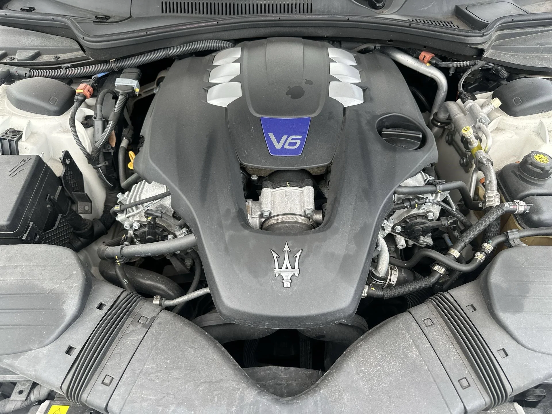 Used 2021 Bianco Alpi Tri-Coat Maserati S image 17