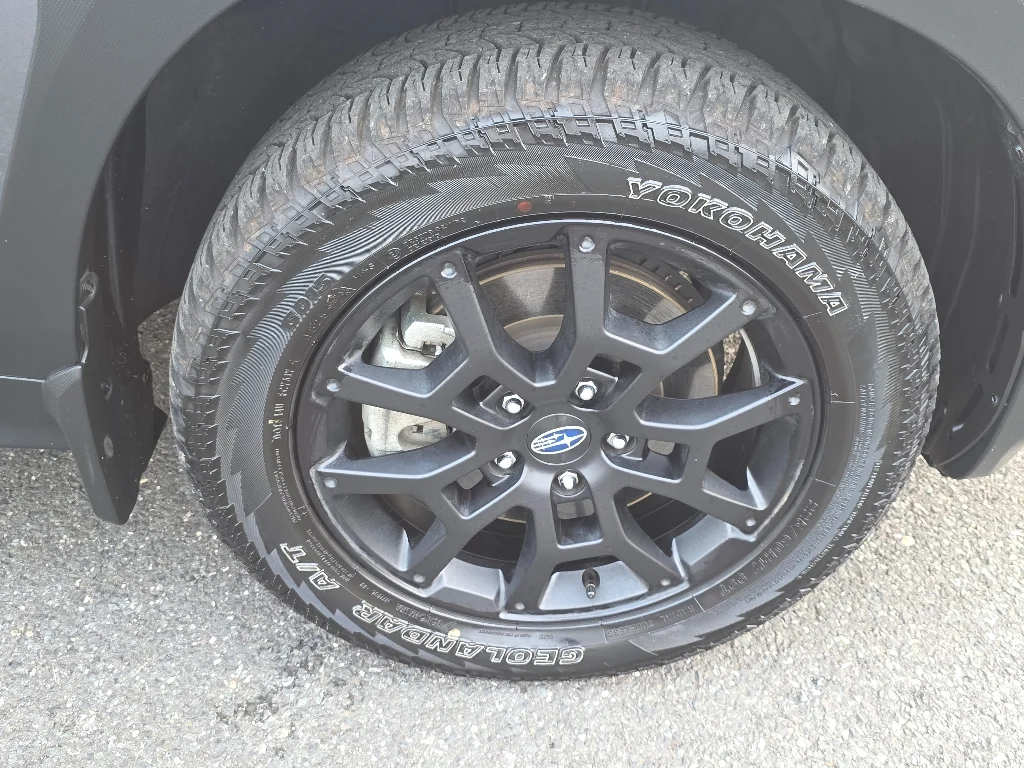 2025 Subaru Crosstrek Wilderness - Photo 19