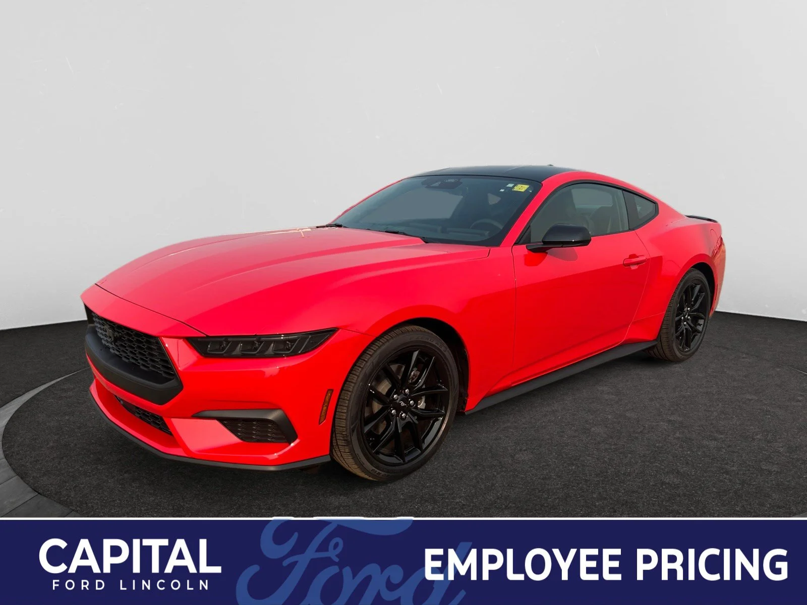 New 2026 Race Red Ford EcoBoost image 1