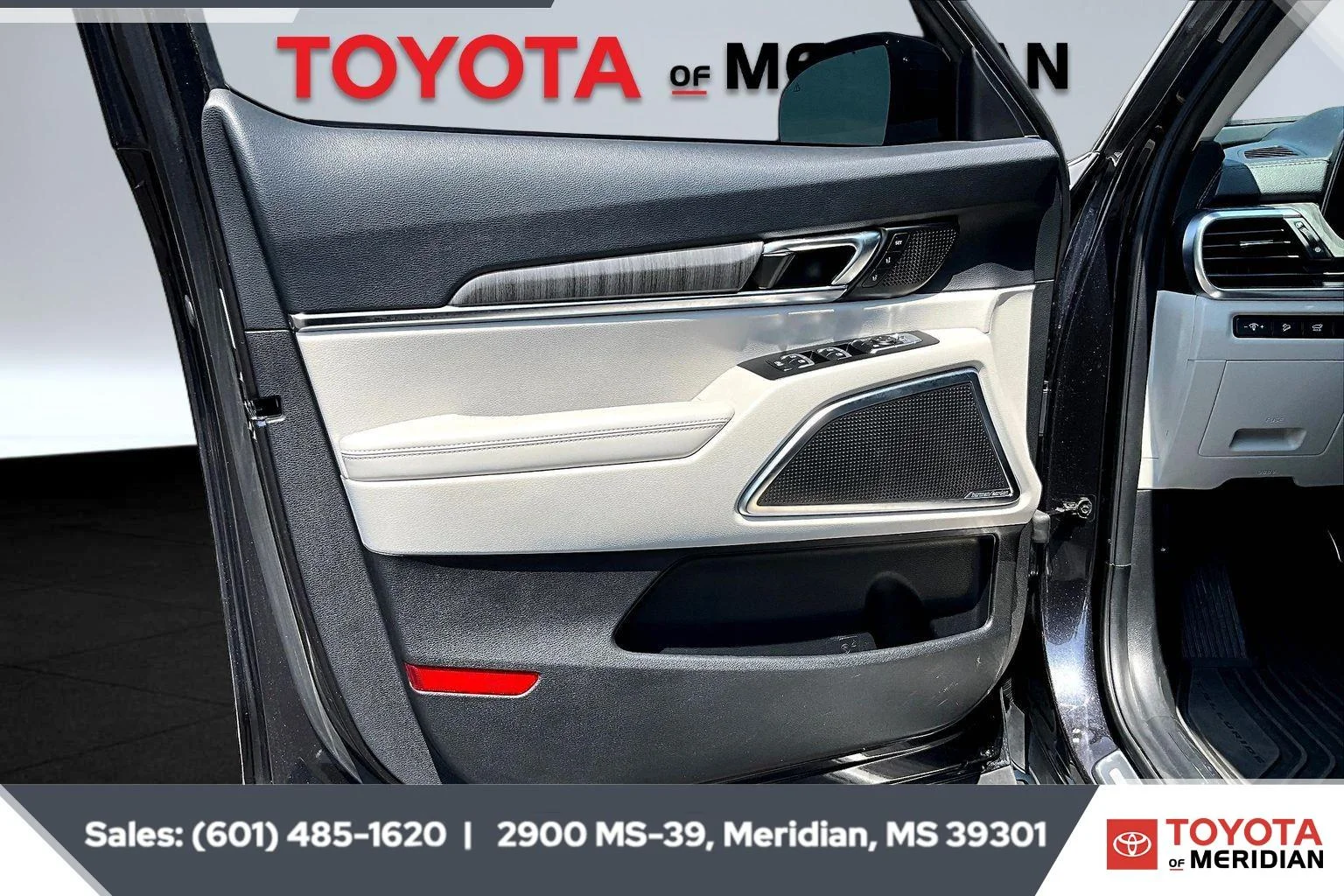 Used 2025 Panthera Metal Kia SX image 17