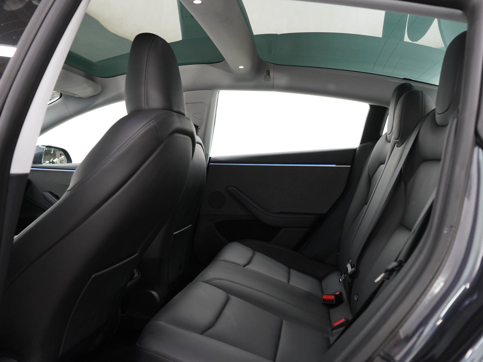 Used 2024 Black Tesla Base image 13