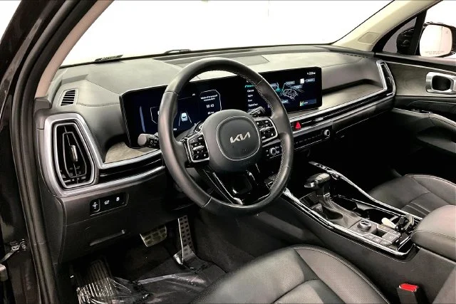 Used 2025 Panthera Metal Kia X-Line SX image 16