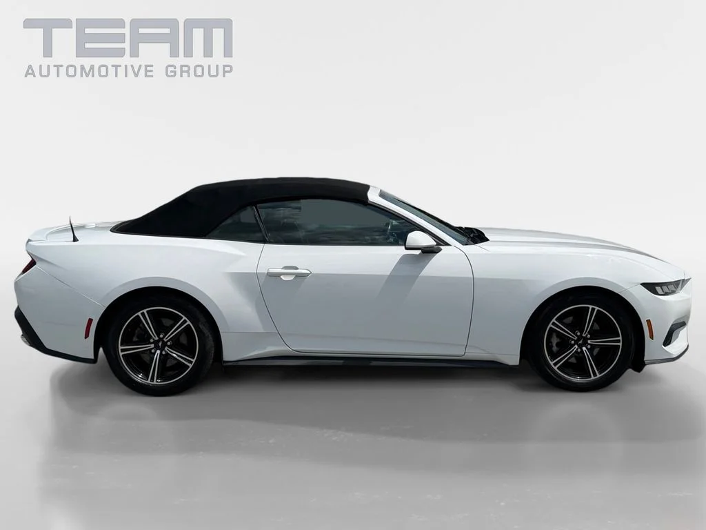 Used 2024 White Ford EcoBoost Premium image 8