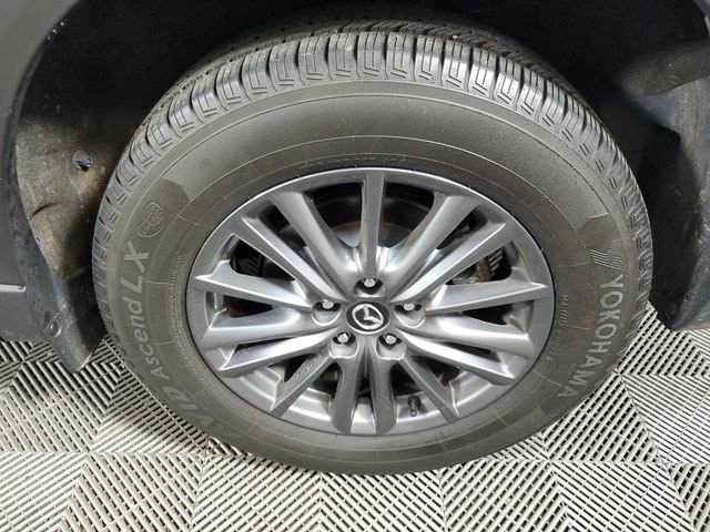 Photo 10