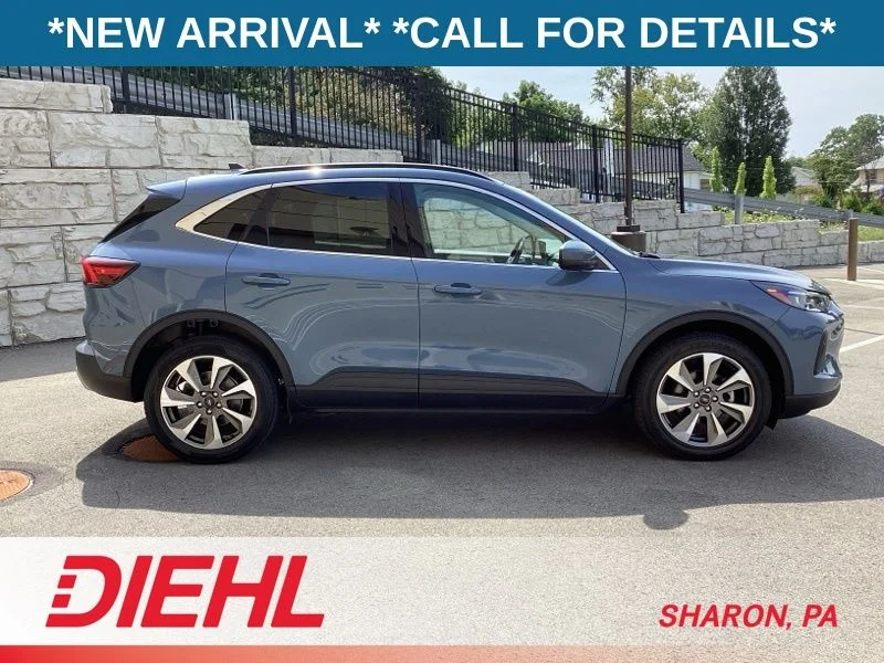 Used 2024 Blue Ford Platinum image 9