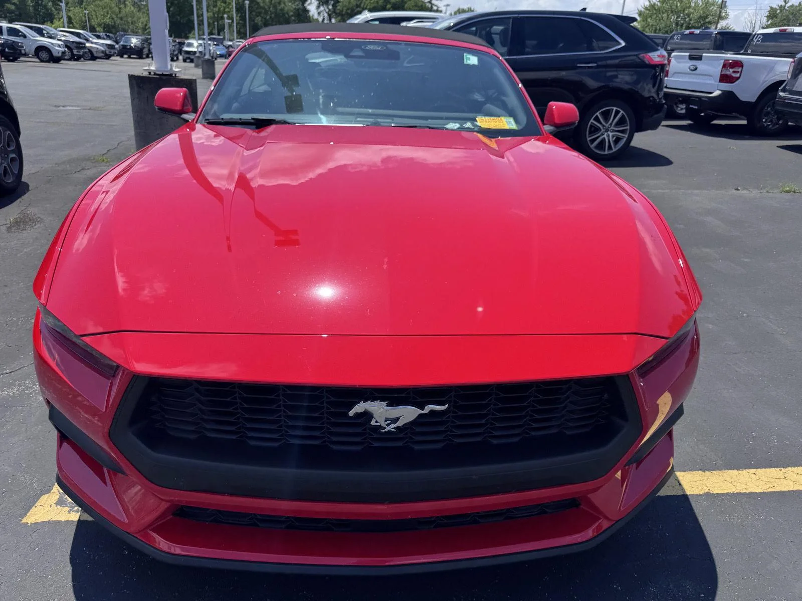 Used 2026 Race Red Ford EcoBoost Premium image 2