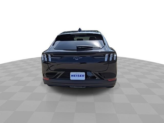 Used 2026 Black Ford Premium image 7