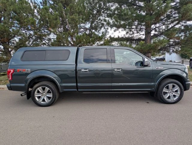 Used 2015 Guard Metallic Ford Platinum image 2
