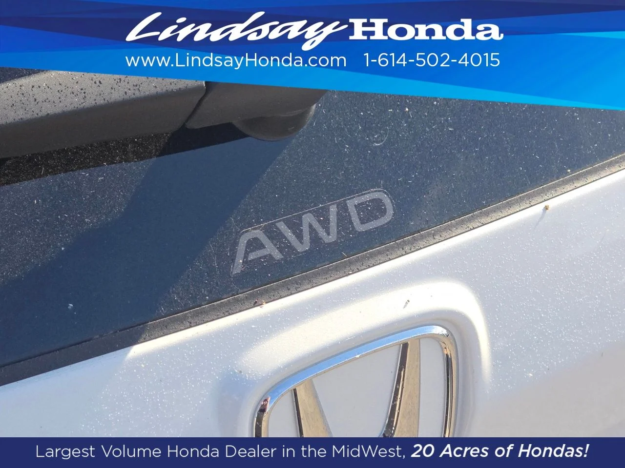 New 2026 Platinum White Pearl Honda LX image 14