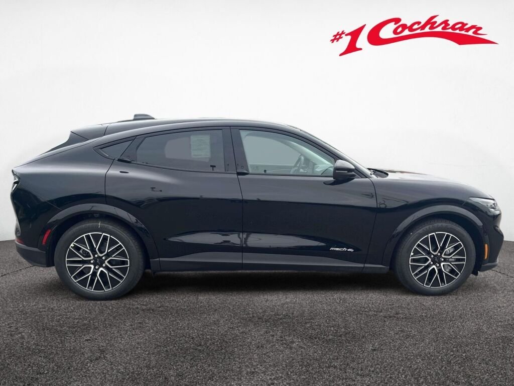 New 2026 Shadow Black Ford Premium image 6