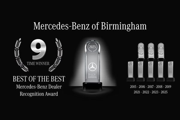 New 2026 Selenite Gray Metallic Storyteller  image 69