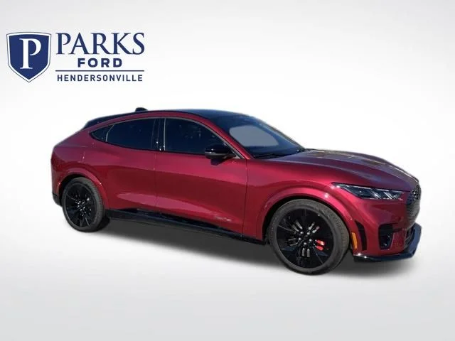 2025 Ford Mustang-Mach-e GT's photo