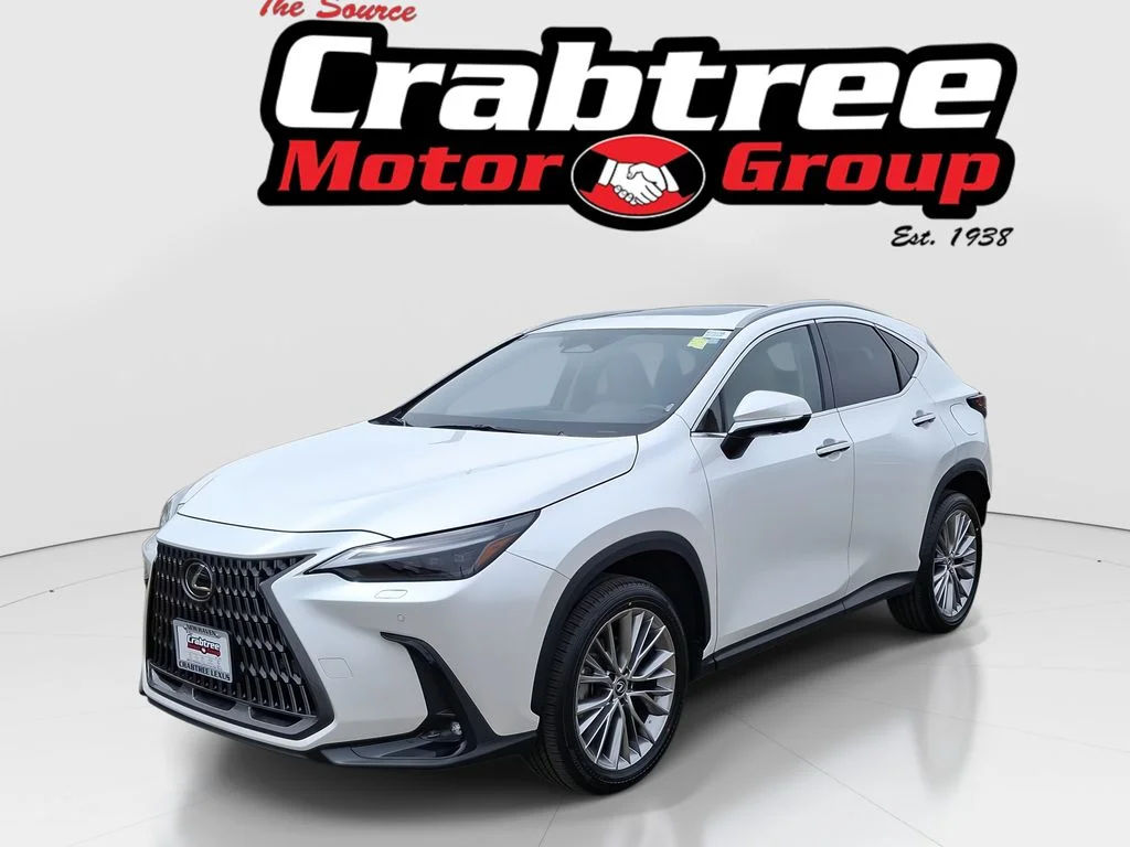 2024 Lexus NX 350 350 Luxury AWD's photo