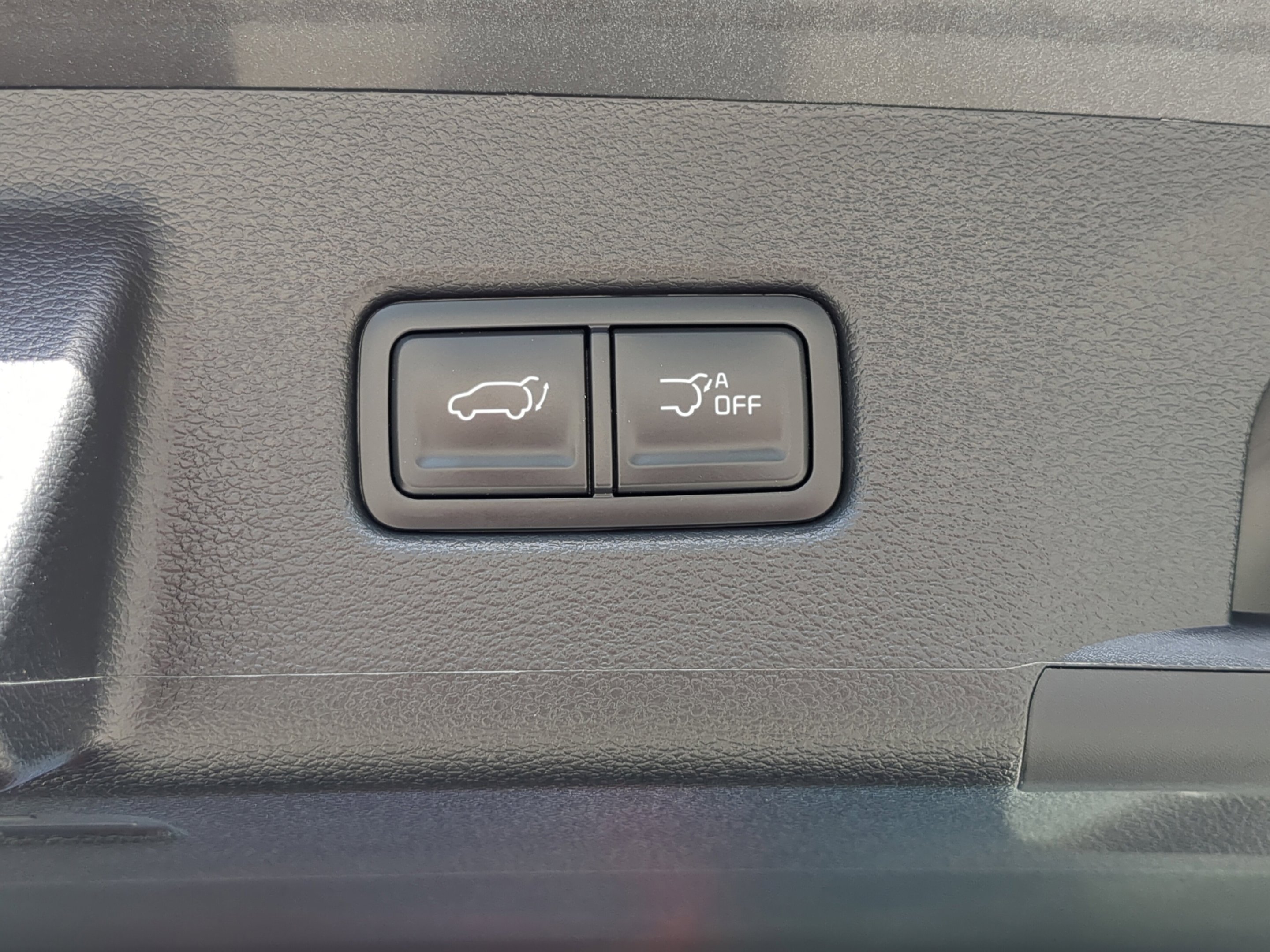 Used 2025 Panthera Metal Kia S image 30