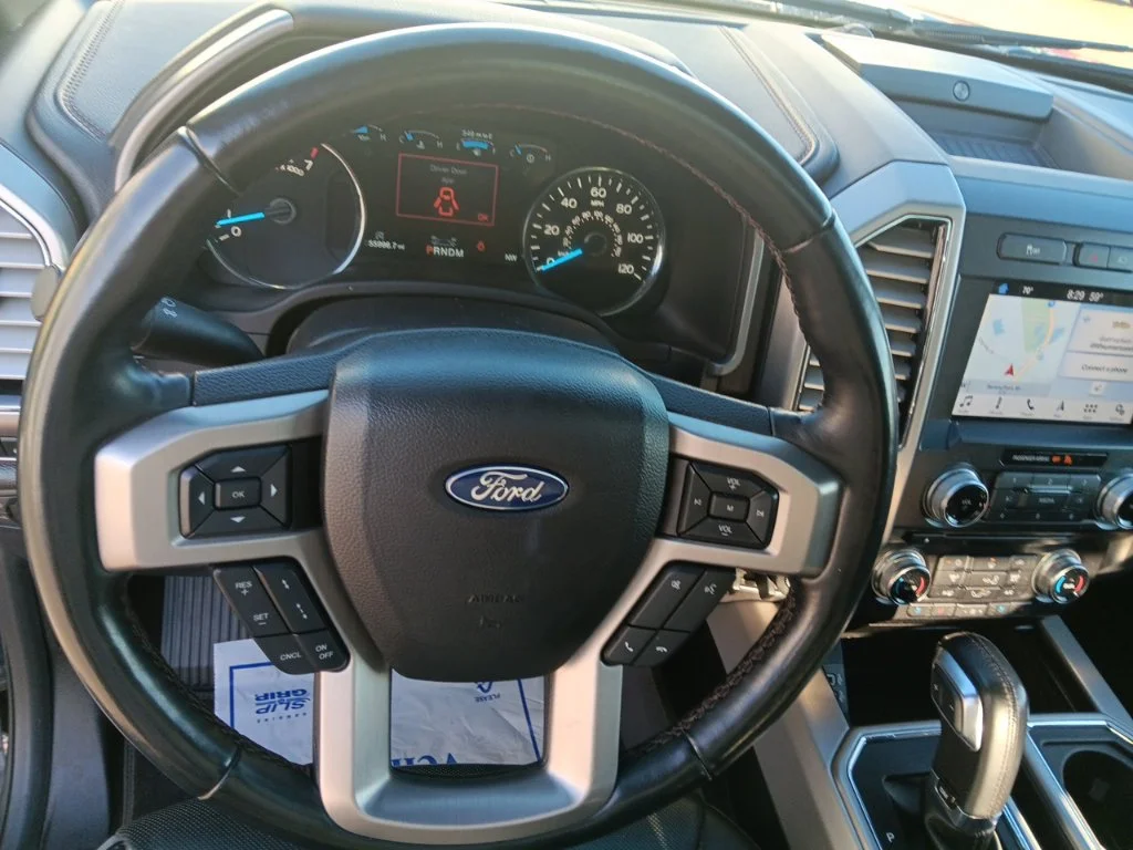 Used 2018 Magnetic Ford Platinum image 16