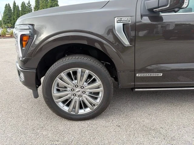 Used 2024 Brown Ford Platinum image 9
