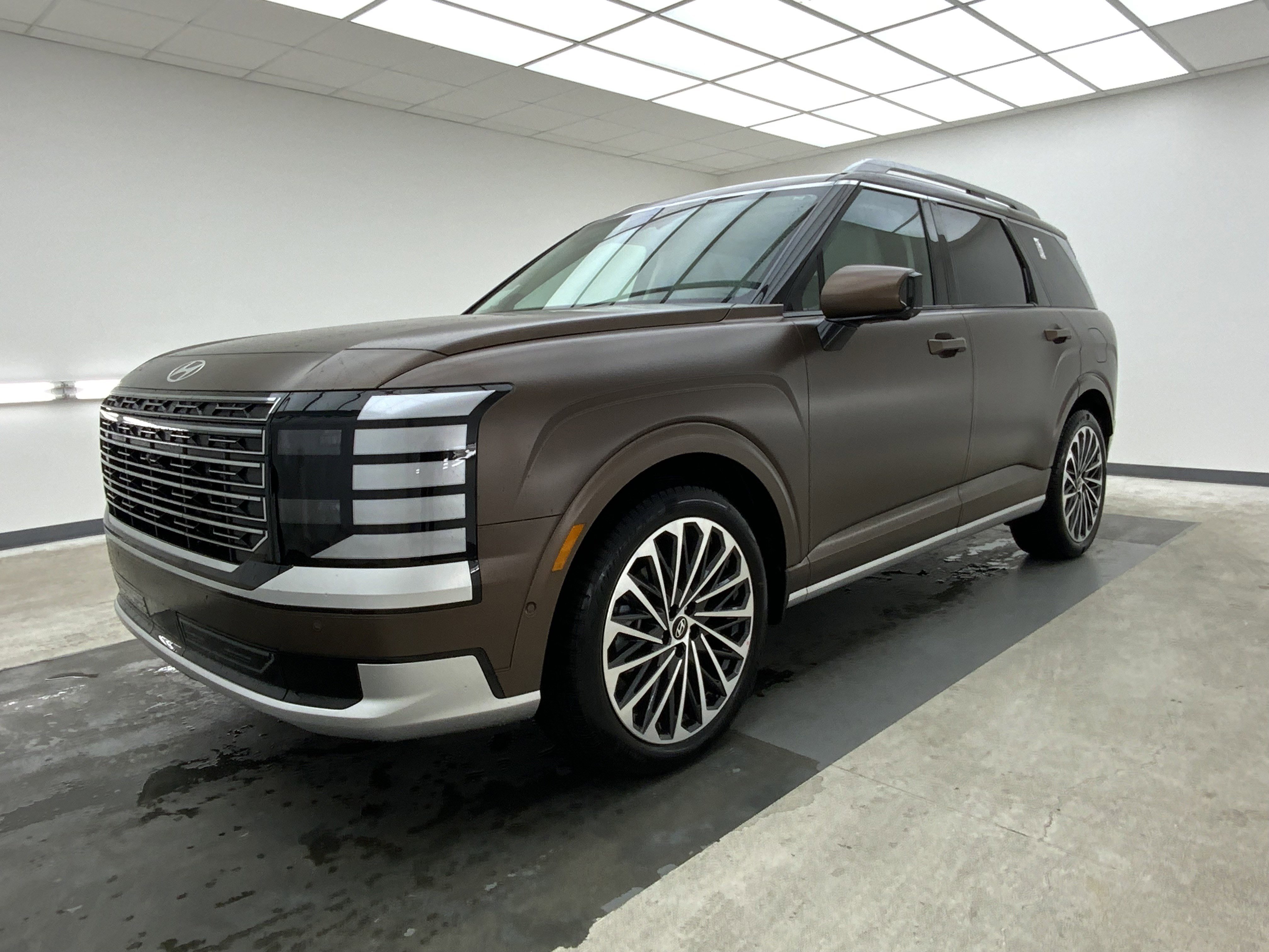 New 2026 Earthy Brass Matte Hyundai Calligraphy image 1