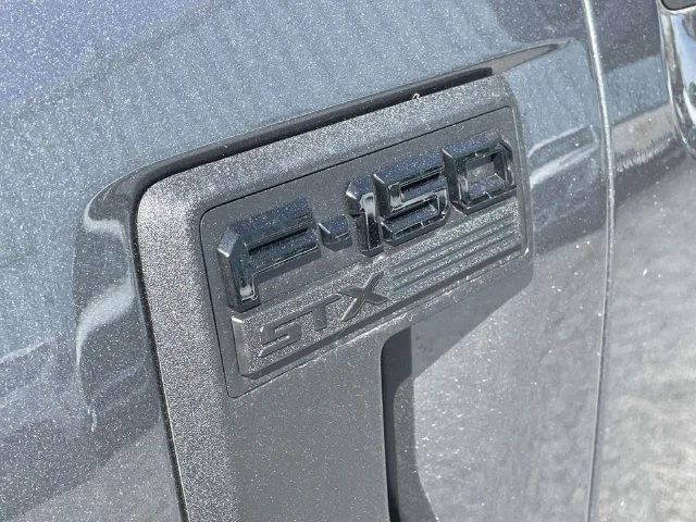 New 2026 Gray Ford STX image 7