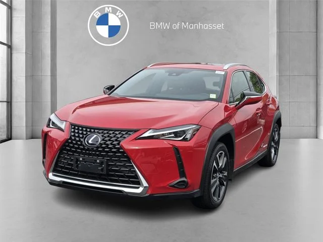2021 Lexus UX 300h 250h AWD's photo