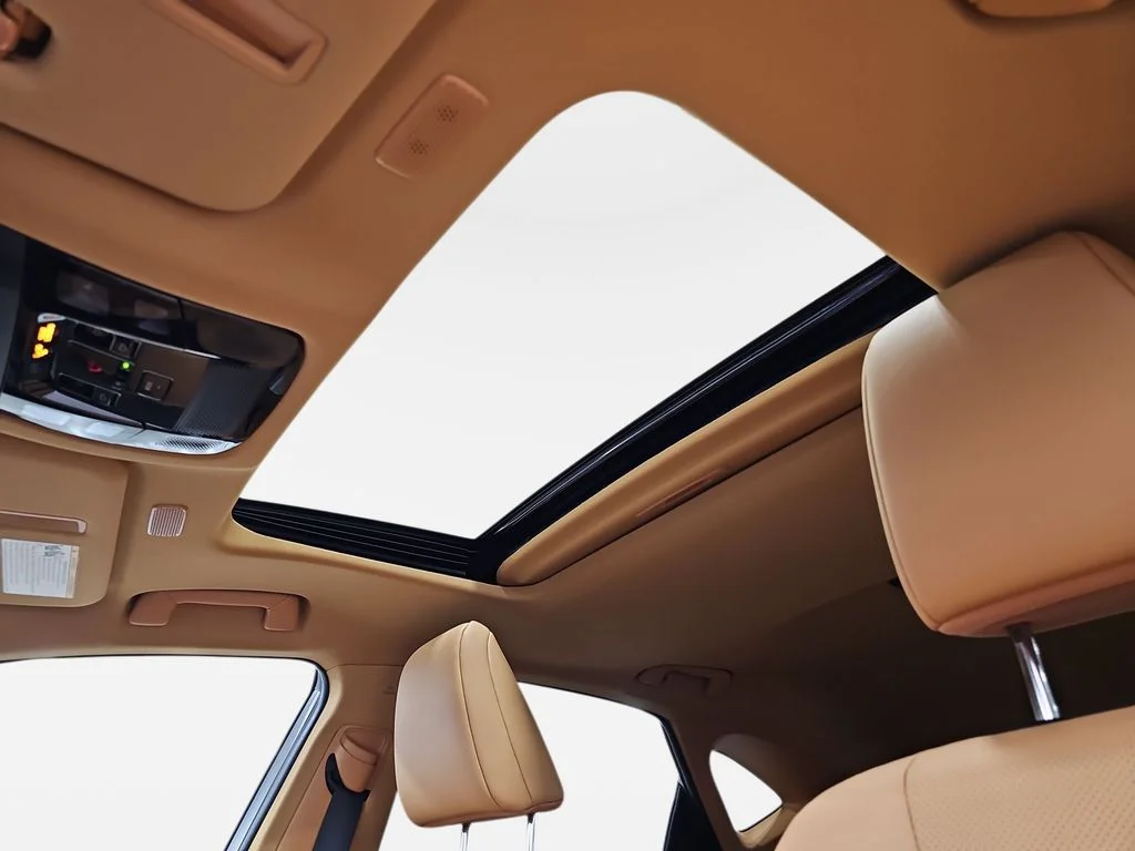 New 2026 Grecian Water Lexus PREMIUM image 29