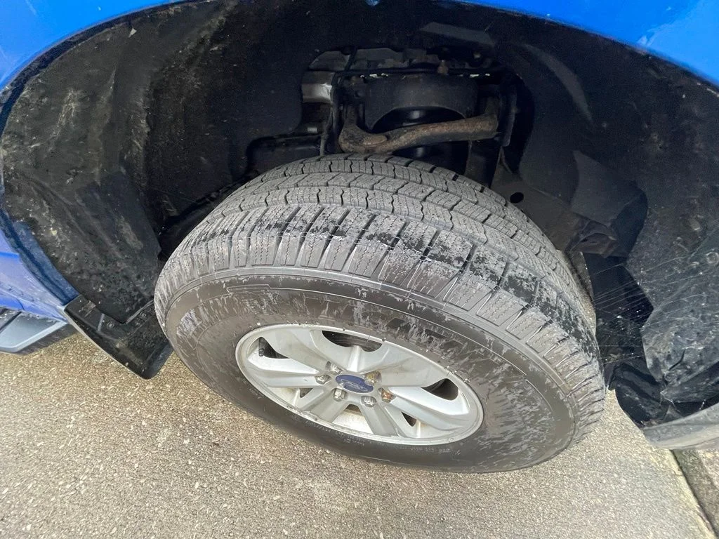 Used 2016 Blue Ford XLT image 4